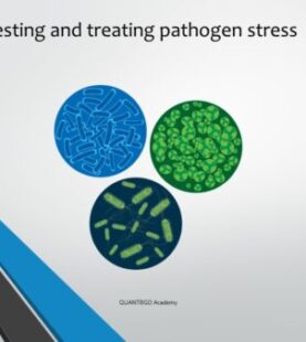 Testing and treating pathogen stress by CTT